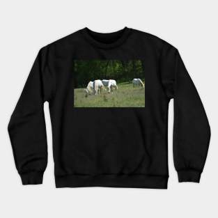 Wild Horses Crewneck Sweatshirt